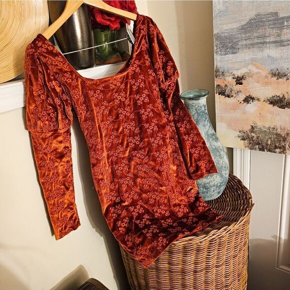 Asos Burnt Orange Velour Embroidered See Through Detail Trim Peasant Style Long - Picture 6 of 13